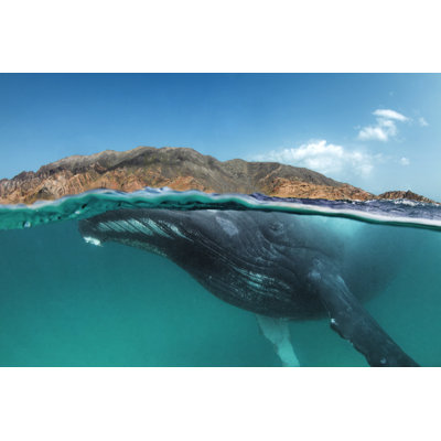 The Encounter - Wrapped Canvas Print