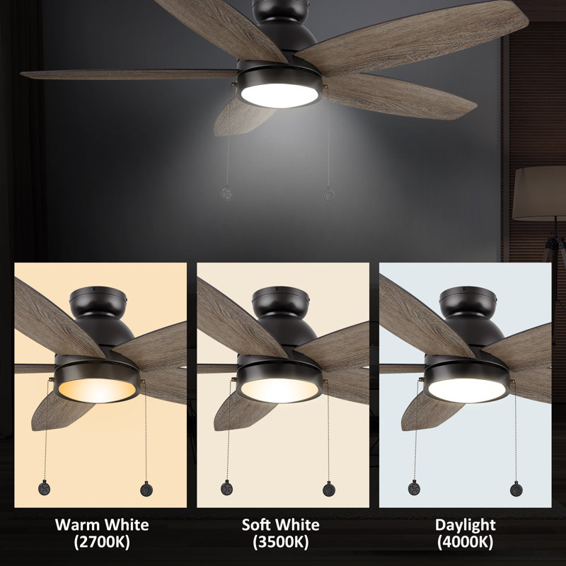 Gurdip 5-blade pull chain ceiling fan with light