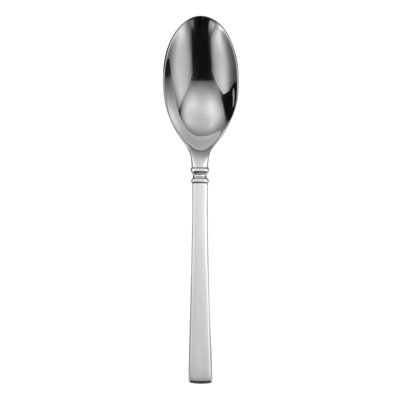 Cuillère à soupe en acier oneida hospital 18/10 stainles Shaker
