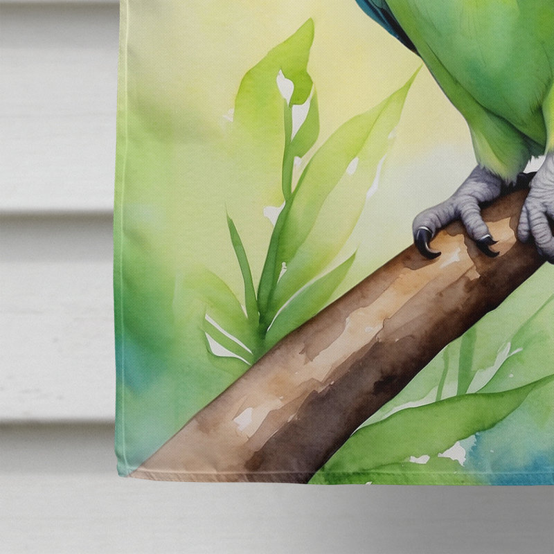 House Flag, Monk Parakeet