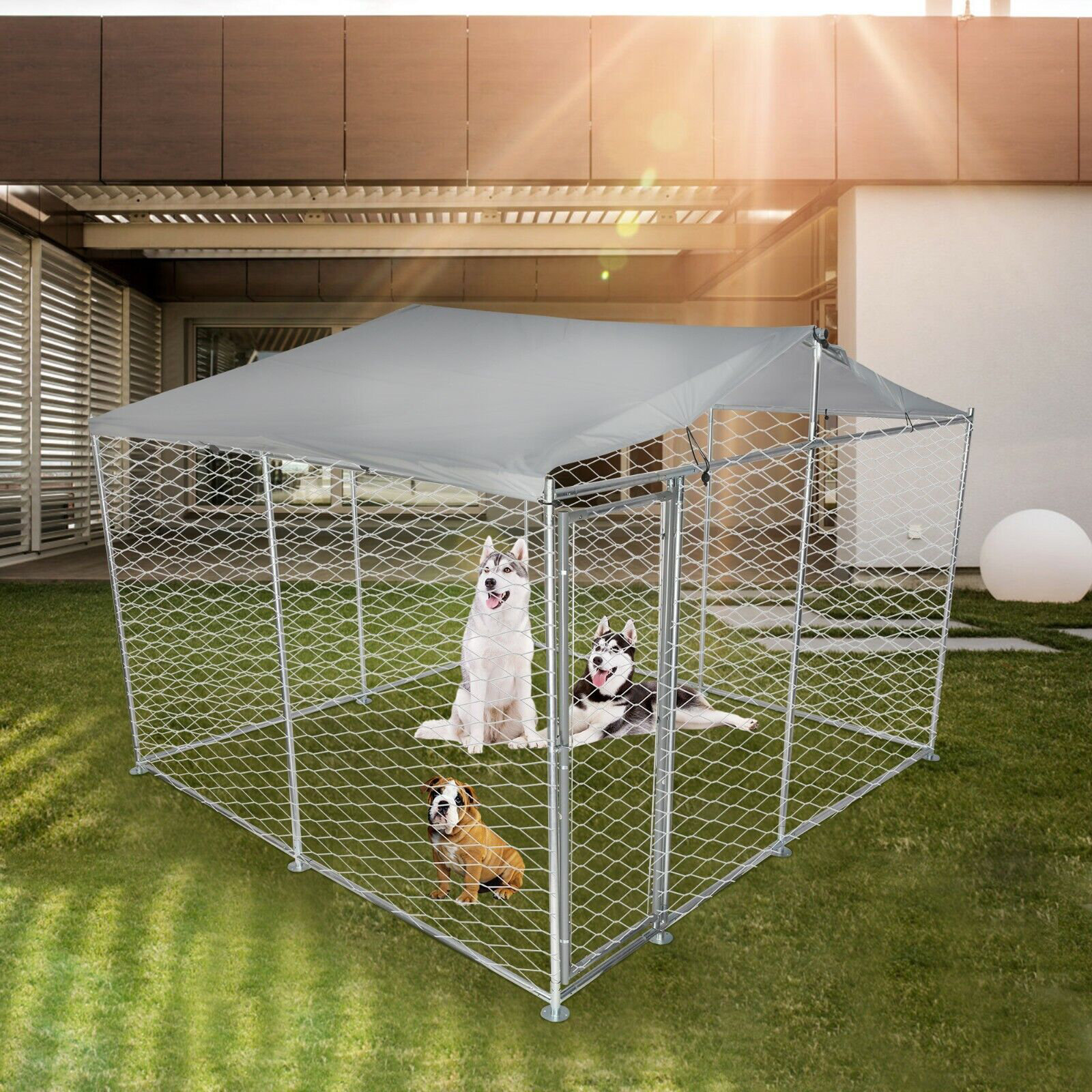 LUCKYREMORE Outdoor Dog Kennel Wayfair