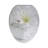 Elongated Toilet Seat and Lid