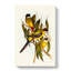 Browns Parakeets by Elizabeth Gould - Wrapped Canvas-55362852
