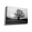 «Meadow Tree» par PhotoINC Studio-1204318442