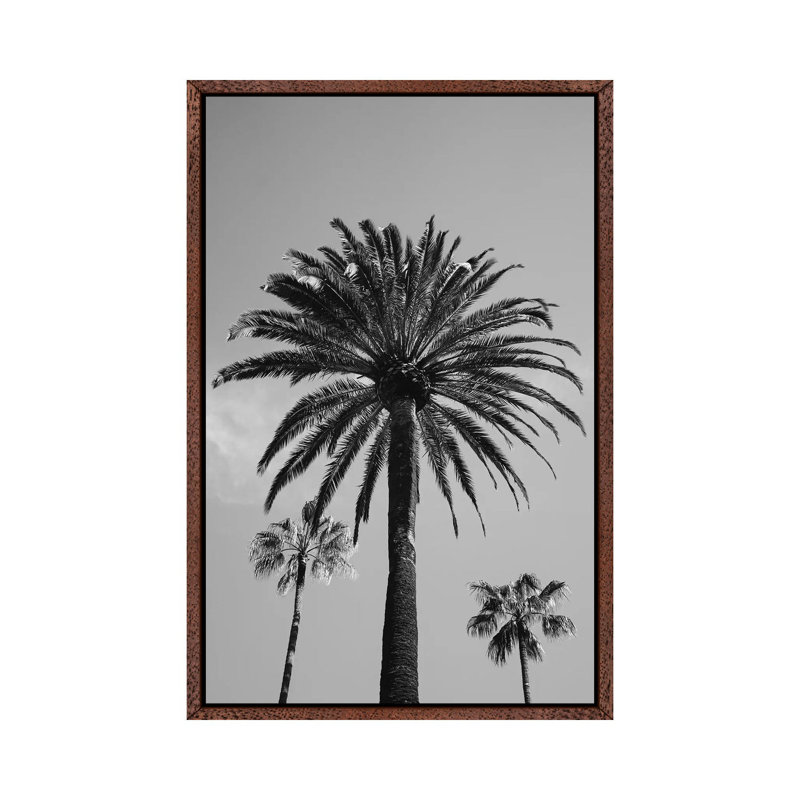 Beverly Hills Sky III by Bethany Young - Print on Canvas, 101.6cm H x 66.04cm W x 3.81cm D, Classic Brown Wood Framed