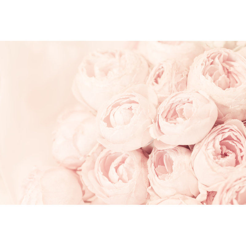 Pink Peony Roses by Danilovi - No Frame Art Prints on Canvas, 81cm H x 122cm W