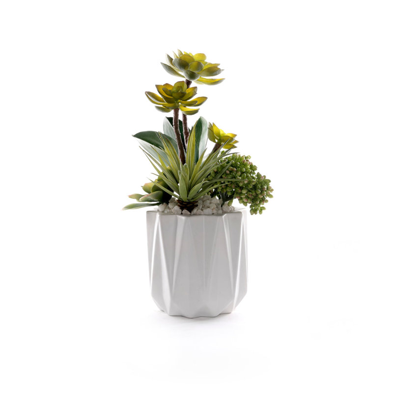 Faux Succulent Plant in Ceramic Planter