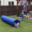 Dog Agility-124016485