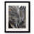 Black Single Picture Framed Paper is unavailable