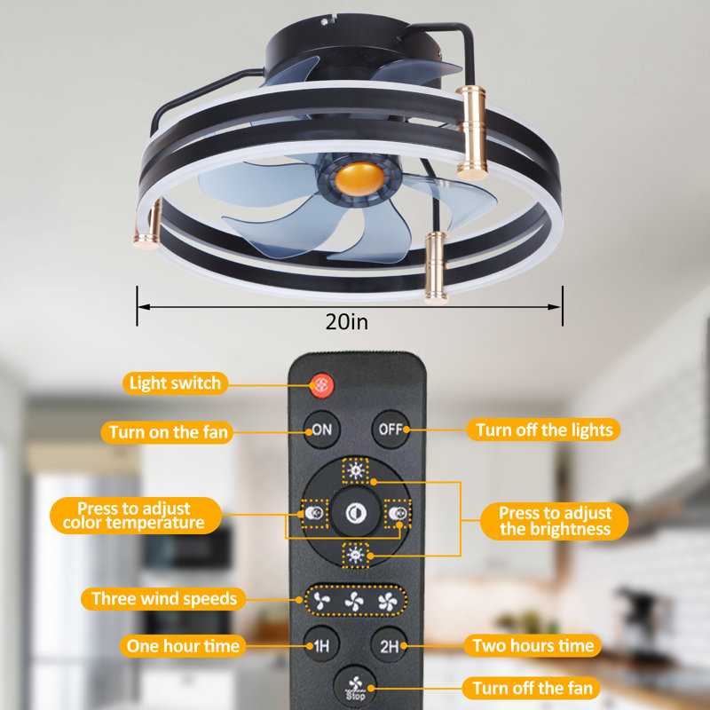Eemil 20'' Ceiling Fan with LED Lights