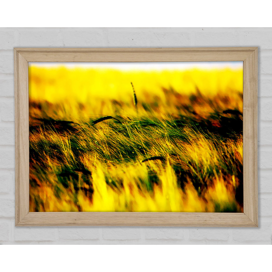 Gerahmtes Wandbild Wheatfield Yellow