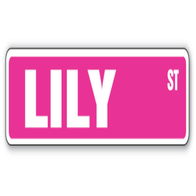 LILY Street Sign Childrens Name Room Sign Indoor Outdoor 18 Inch Wide