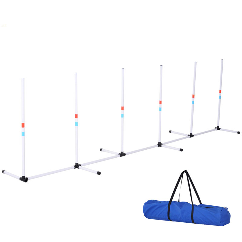 Ensemble d'obstacles pour chien Pawhut