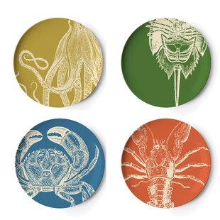 https://assets.wfcdn.com/im/40150682/resize-h310-w310%5Ecompr-r85/7322/73221390/anakin-sealife-4-piece-melamine-dinner-plate-set.jpg