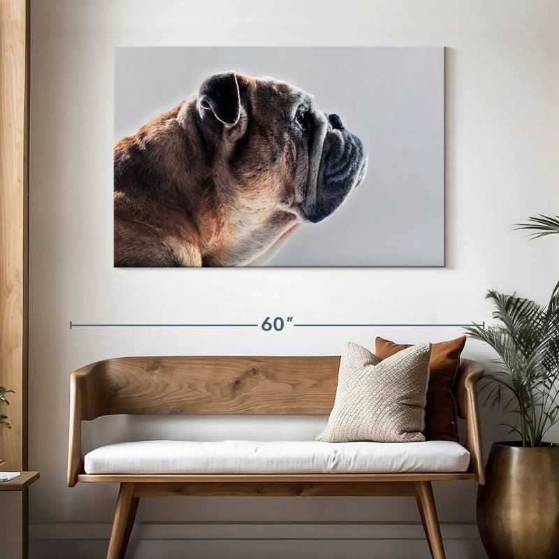 Brampt Dog Side Profile, 30" H x 45" W
