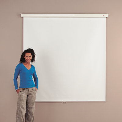 White Manual Projection Screen