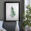 Sage Frond II - peinture encadrée-668912992-668912995