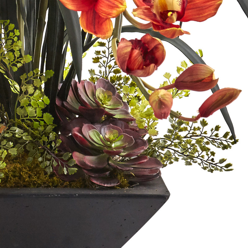 Burgundy Cymbidium Orchid and Succulent Centerpiece with Black Vase
