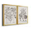 «Sepia Besler Botanicals I», ensemble de 2 reproductions d'art sur toile encadrées-998066296-998066299
