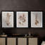 Monochromes botaniques I - Toile tendue avec châssis sur mesure - 3 pièces-932018148-932018146