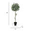 Olive artificielle 48 po en pot