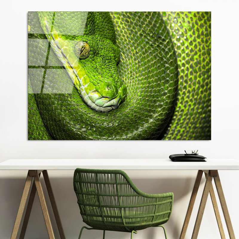Boze Wall Decor