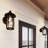1 - Light Outdoor Wall Light