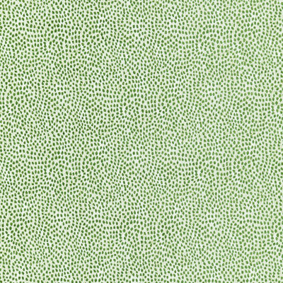 Tissu toundra