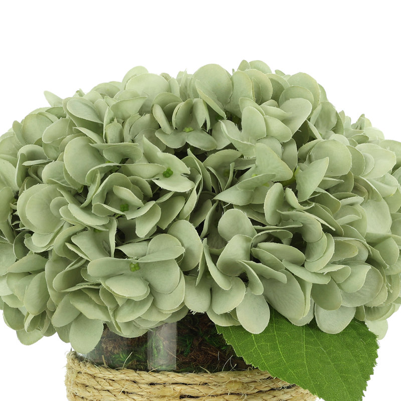 Sarina Hydrangea Floral Arrangement in Glass Vase with Moss, Green