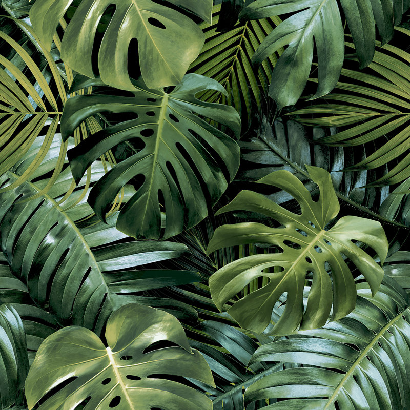 Papier peint Harlynn Green Monstera