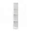 Freestanding Cabinet with Inadjustable Shelves and two Doors for Kitchen, Dining Room-56550226