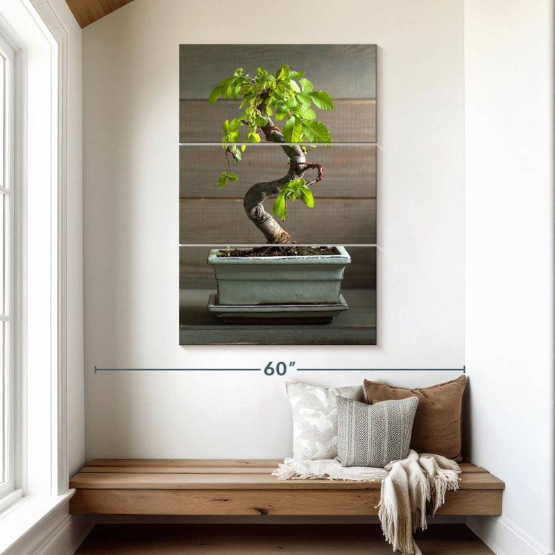 Harnek Bonsai Tree In A Pot