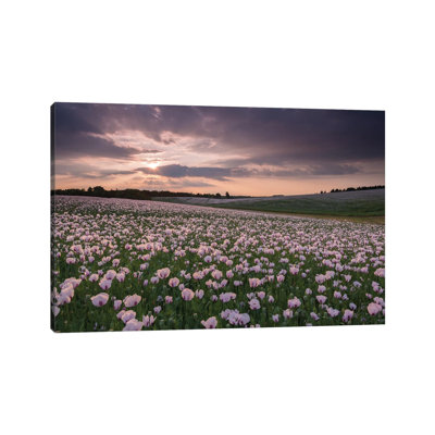 Poppyfield Sunset by Adam Burton - Wrapped Canvas Print