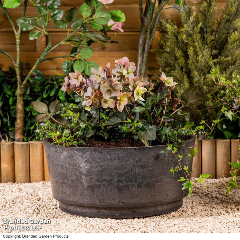 Pot Planter, Grey, 15.5cm H x 34.5cm W x 34.5cm D