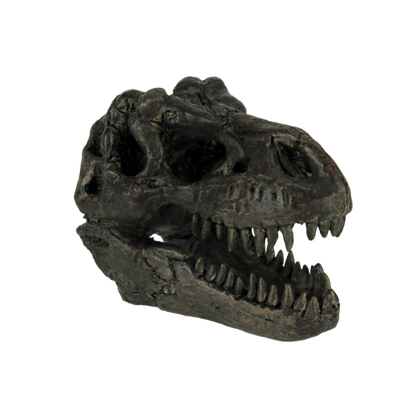 Statue de fossile de tête de dinosaure Hadrian Tyrannosaurus Rex petit