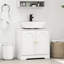 Freestanding Under Sink Cabinet
