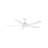 Hinkley Bodin LED Smart Fan-101221420-101221421