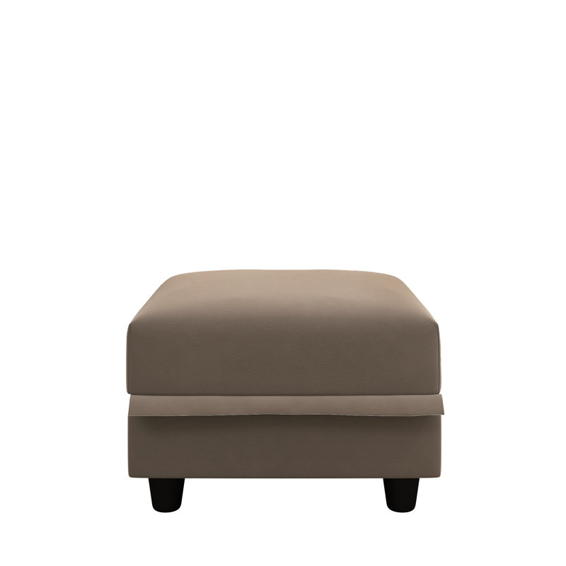 Tomario 25'' Fabric Storage Ottoman, Brown