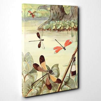 Vintage Brazilian Dragonflies by Paul Flanderky - Wrapped Canvas