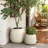 Sahara Stone Planter, 16.1" Round Cement Accent in Desert Beige-620913159