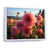 White Floater Framed