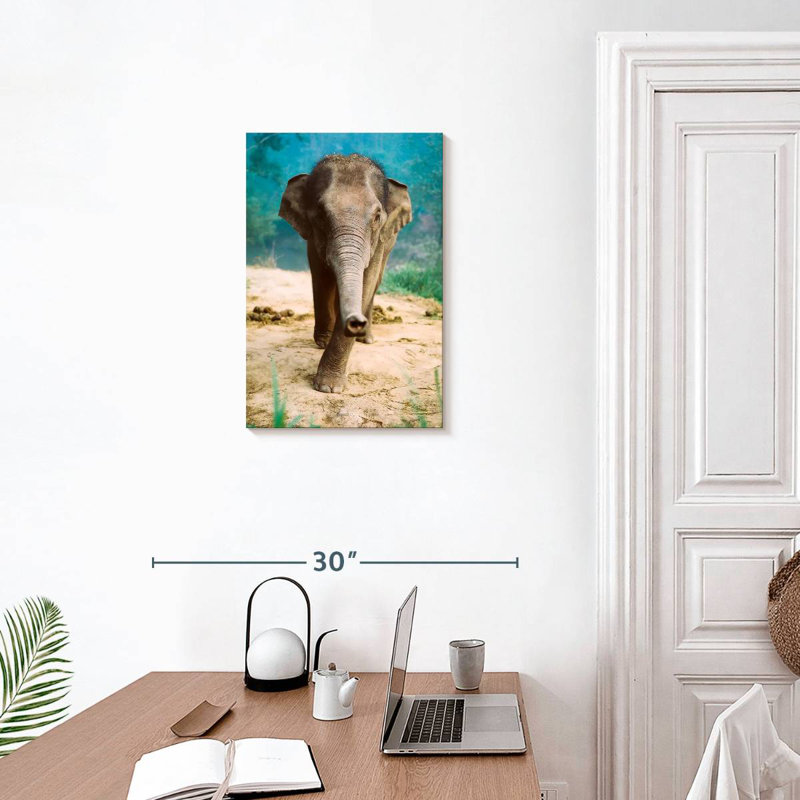 Brampt Curious Baby Elephant, 24" H x 16" W