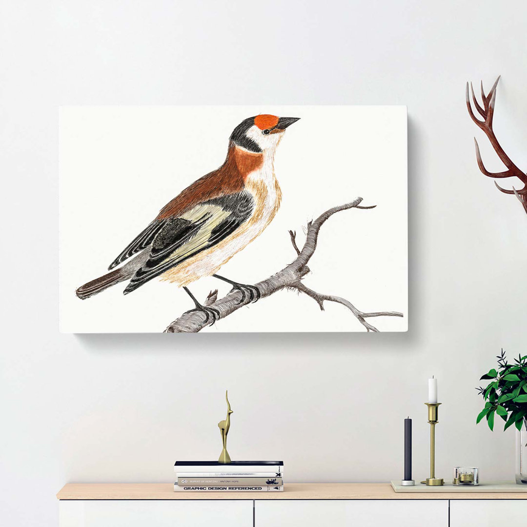Goldfinch by Johan Teyler - Wrapped Canvas
