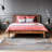 Elkhorn Abstract Indoor Rug-694195497