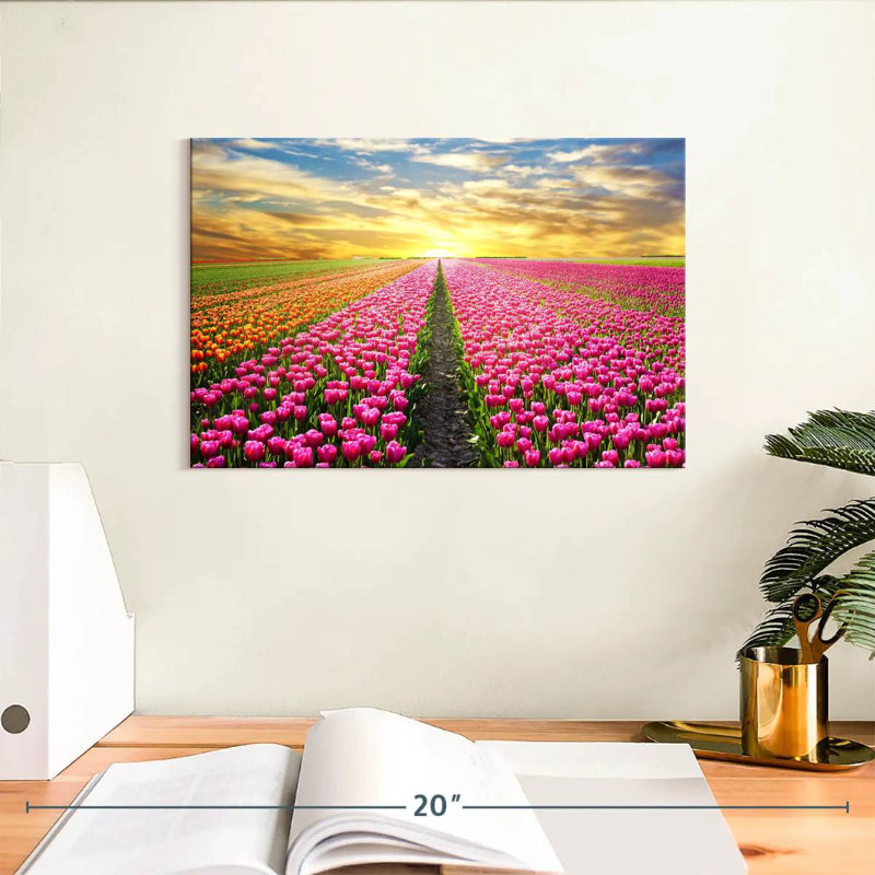 Champ de tulipes, H 8 po x l 12 po