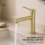  Robinet pour salle de bain à poignée simple avec drain Luster-81246862