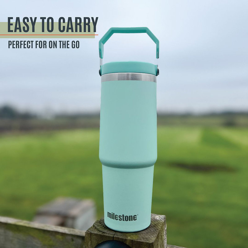 Milestone 890ml Double Wall Insulated Stainless Steel Flip & Sip Bottle, Green