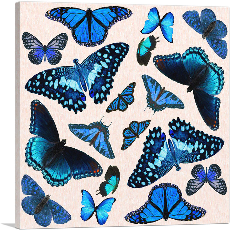 «Blue Blue Baby Butterfly Wings Insect», impression sur toile tendue, H 26 po x l 26 po x P 1,5 po