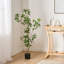 ARBRE À PIERIS 120CMTIFTIFS