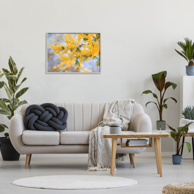 Mimosa jaune, fleurs, art giclée par Lil 'Rue